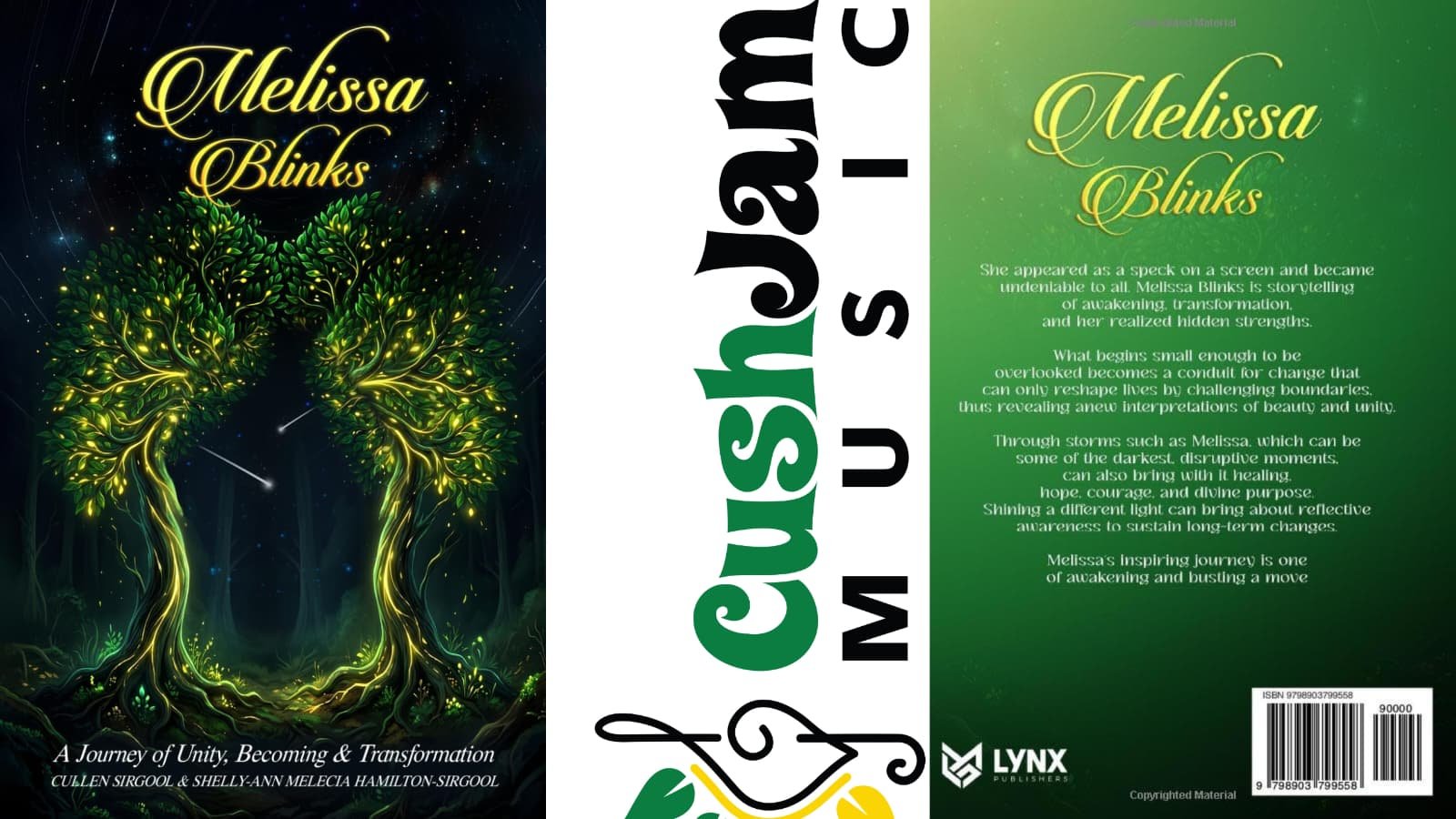 Melissa Blinks book cover